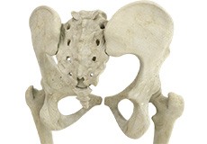 Mini-Posterior Hip Replacement